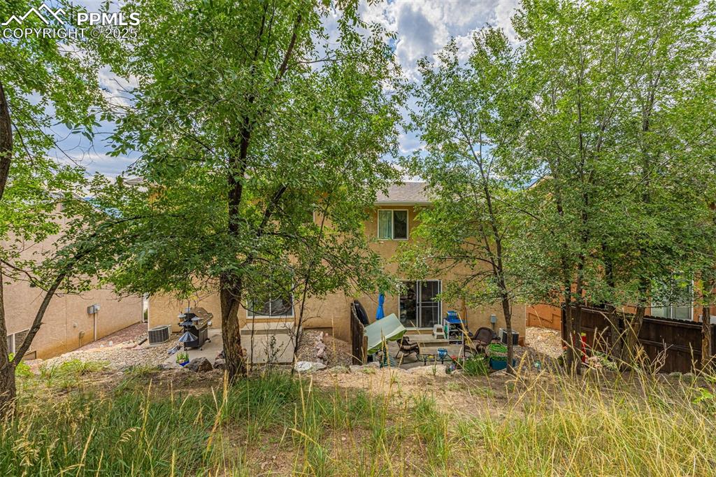 Image 43 of 49: Back of Structure