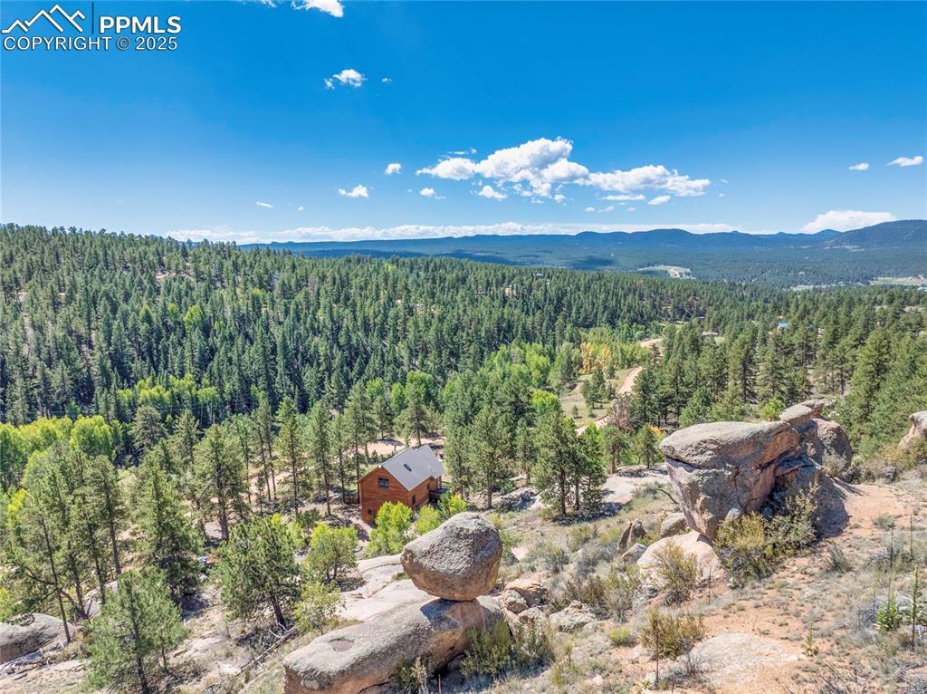 Image 32 of 34: I just can