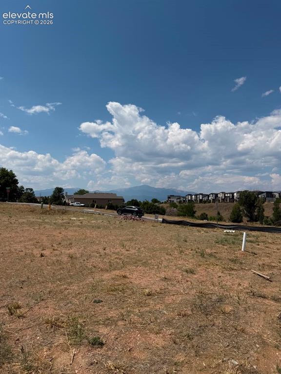 Image 8 of 9: Yard