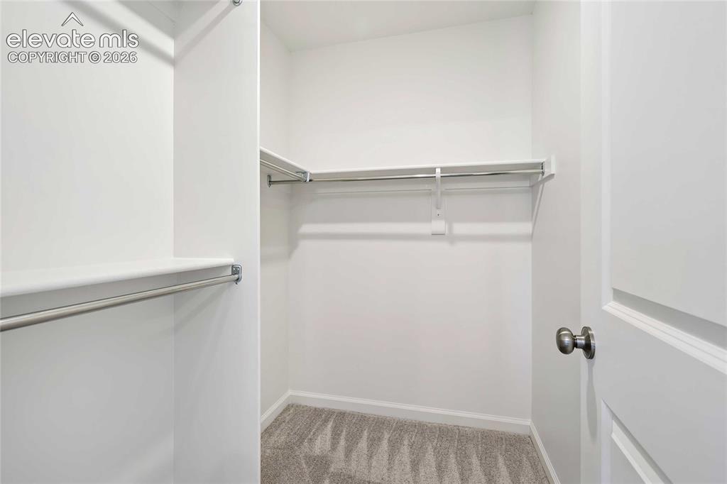 Image 17 of 25: Walk-in closet with carpet flooring, white walls, and built-in shelving
*p