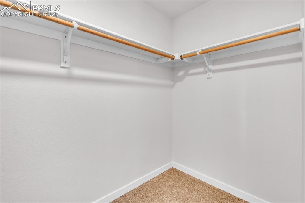 Image 13 of 43: Spacious closet featuring carpet