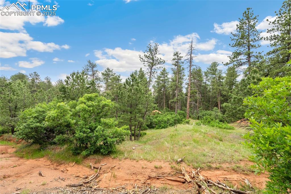 Image 12 of 24: Other