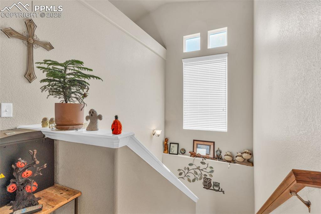 Image 30 of 50: Other