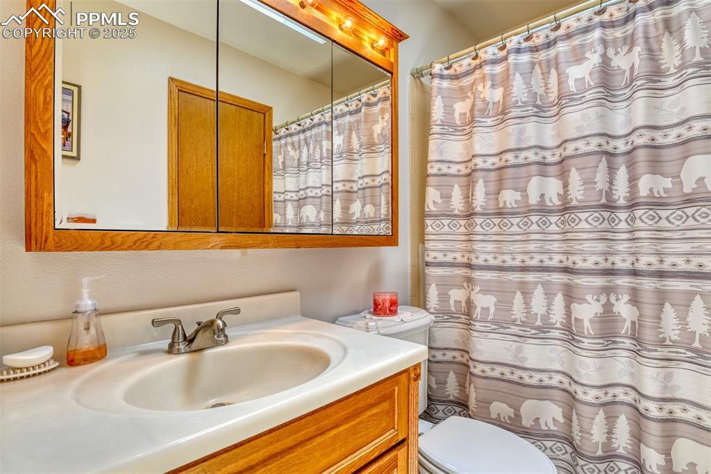 Image 33 of 46: Bathroom with vanity and a shower with curtain