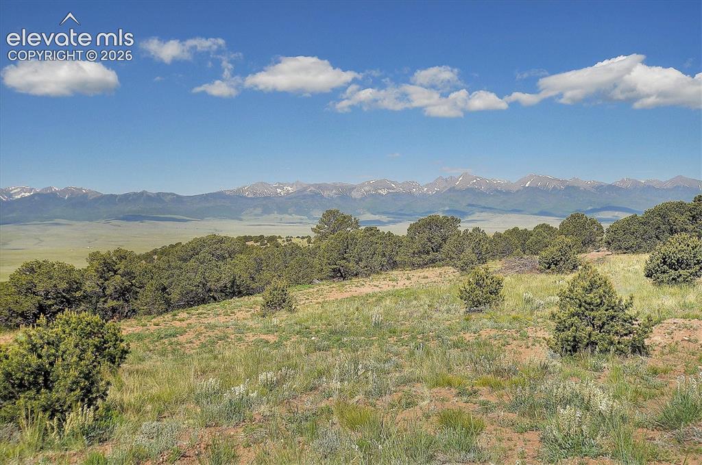 Image 41 of 44: View