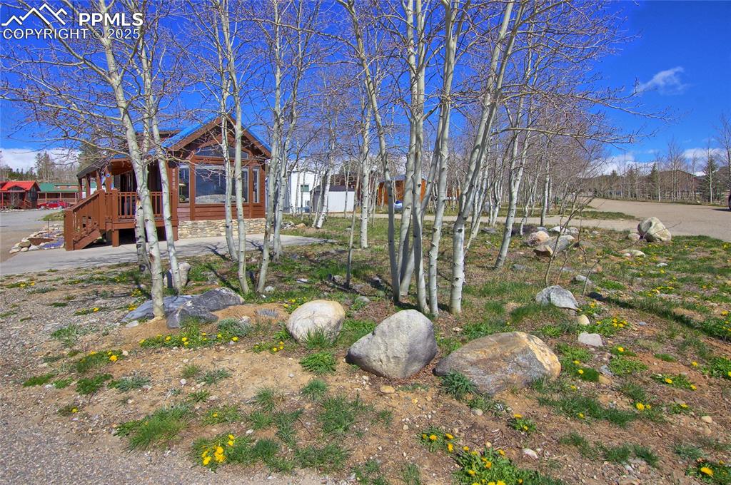 Image 5 of 50: Side Yard
