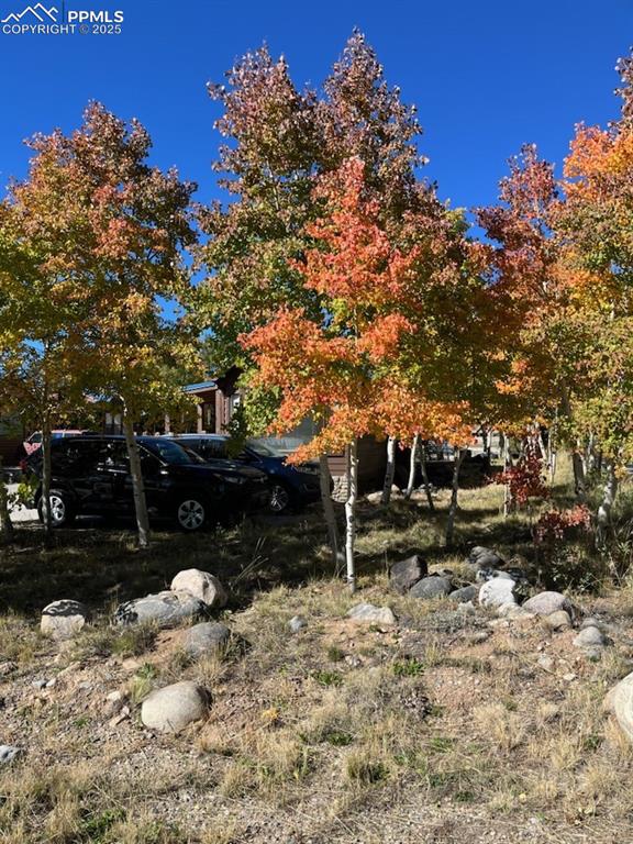 Image 50 of 50: Autumn Colors