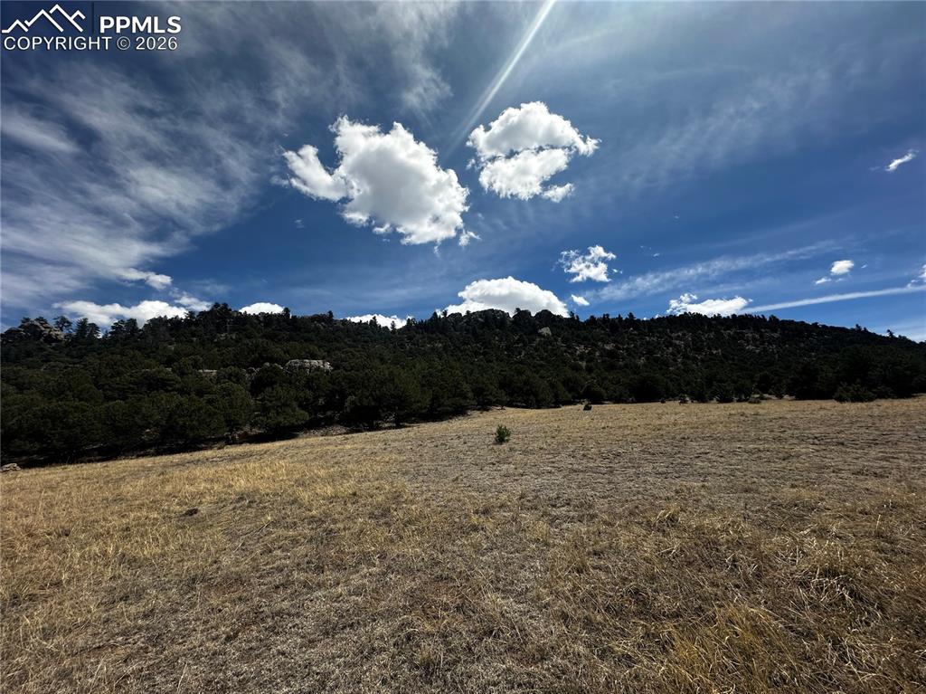 Image 12 of 12: view of back side of property from road