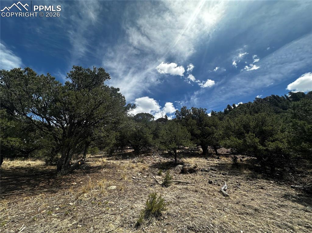 Image 8 of 12: site view