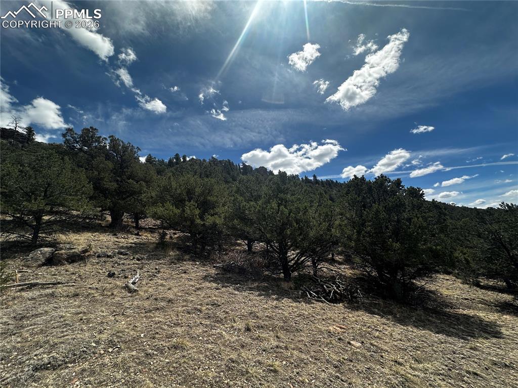 Image 9 of 12: site view