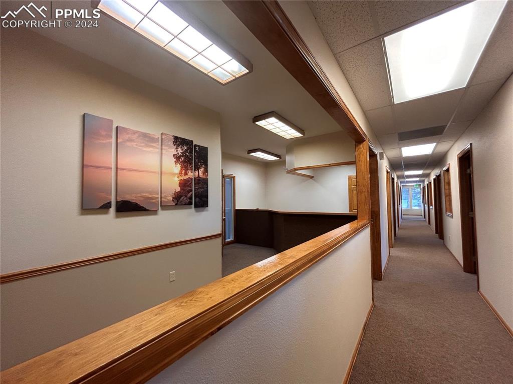 Image 13 of 45: Hall with a drop ceiling and carpet flooring