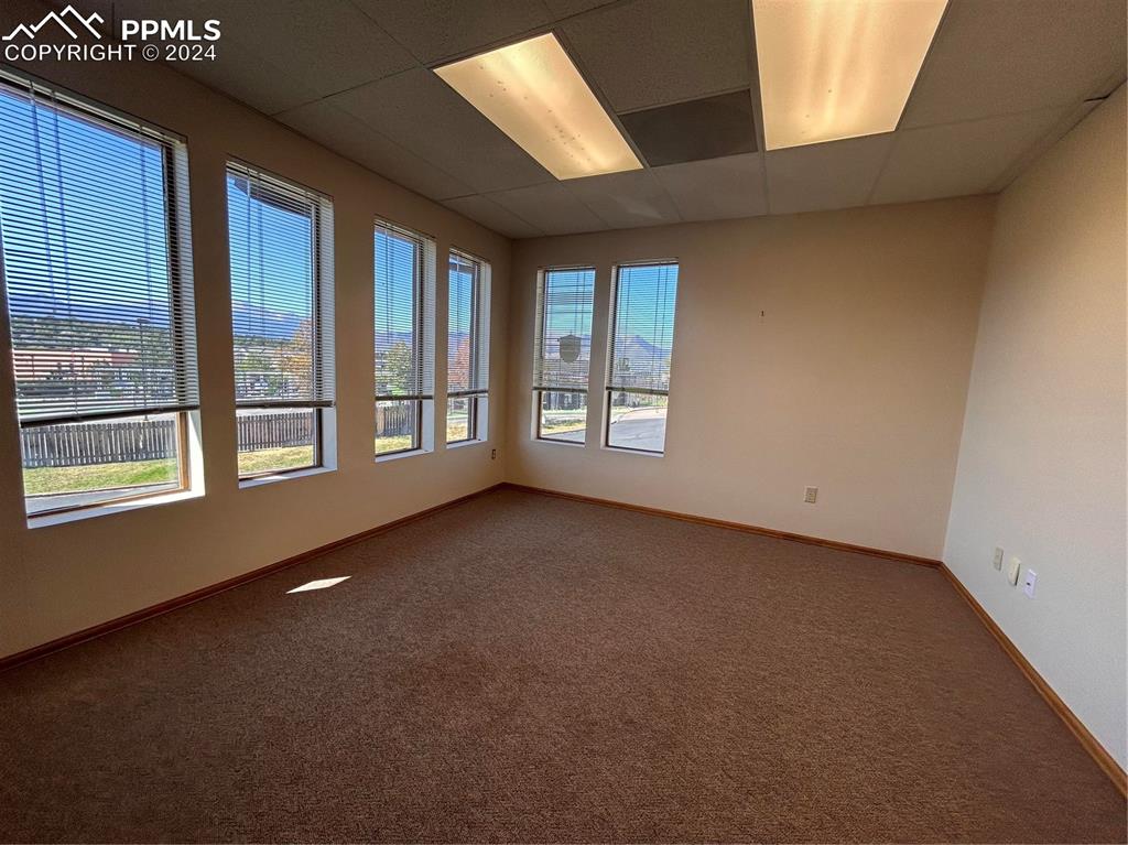 Image 3 of 45: Carpeted empty room with a drop ceiling and a wealth of natural light