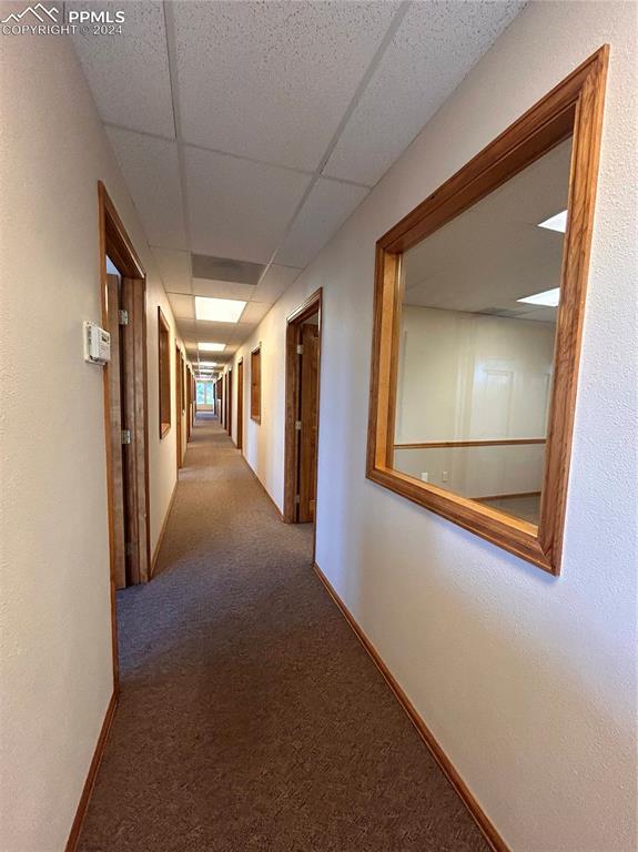 Image 32 of 45: Corridor featuring a drop ceiling and carpet