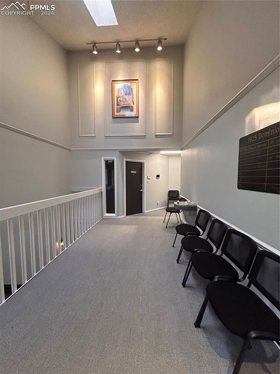 Image 34 of 45: Misc room with a skylight, track lighting, carpet flooring, and a textured 