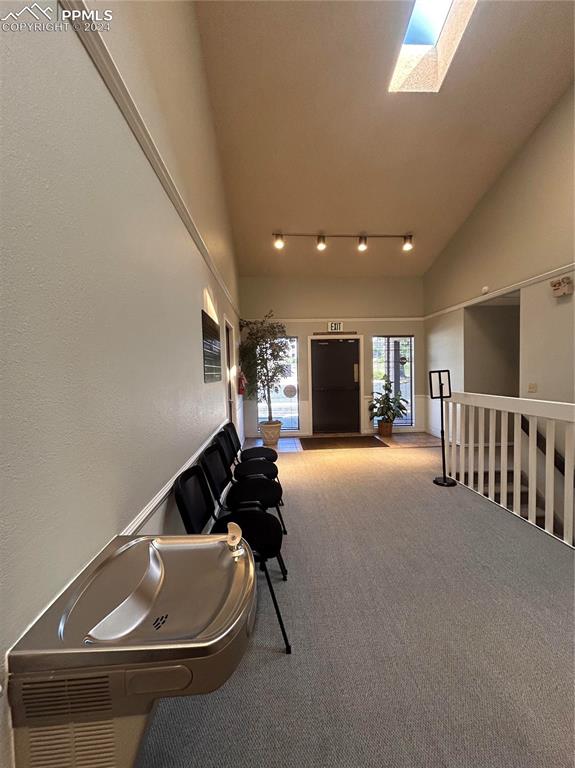 Image 38 of 45: Misc room with vaulted ceiling with skylight, carpet, and track lighting