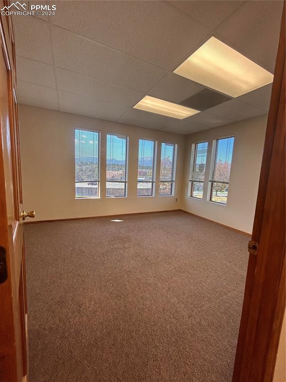 Image 6 of 45: Empty room with a drop ceiling, carpet floors, and a healthy amount of sunl
