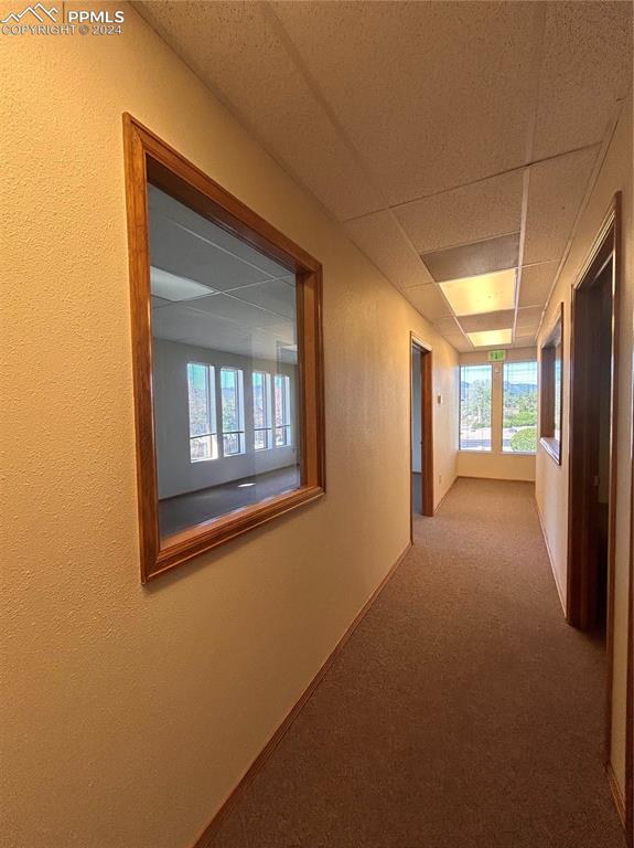 Image 8 of 45: Corridor with carpet