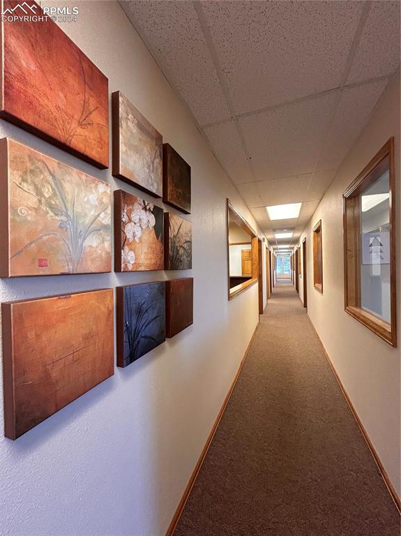 Image 9 of 45: Corridor featuring carpet floors and a paneled ceiling