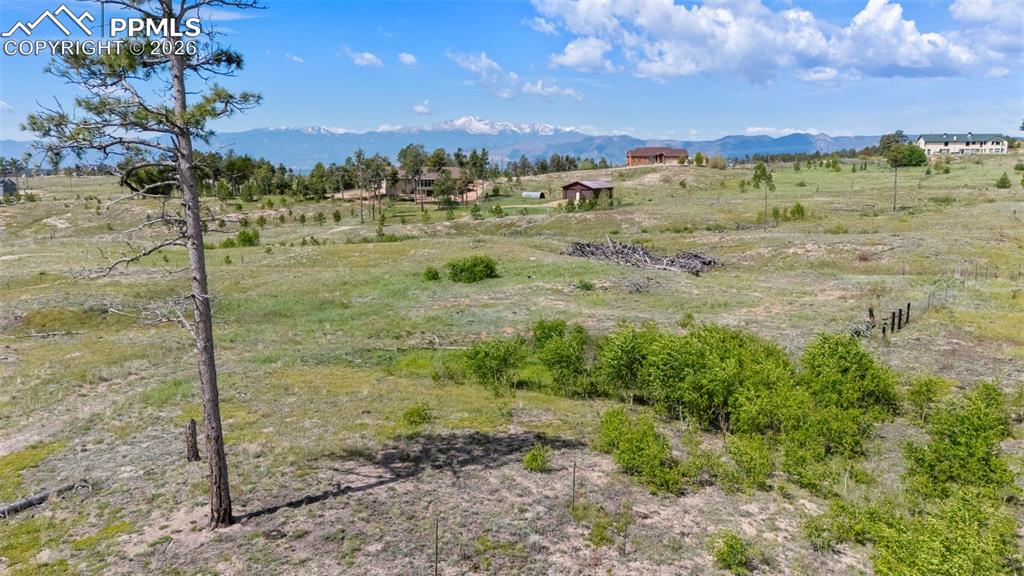 Image 2 of 15: Aspen Grove