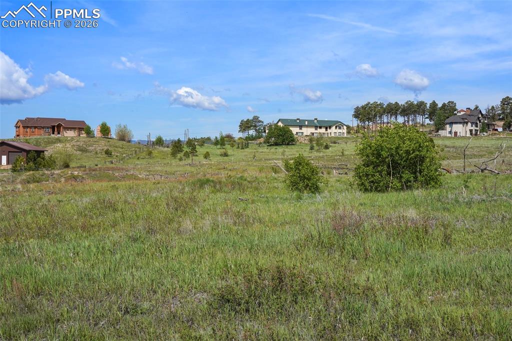 Image 5 of 15: Aspen Grove