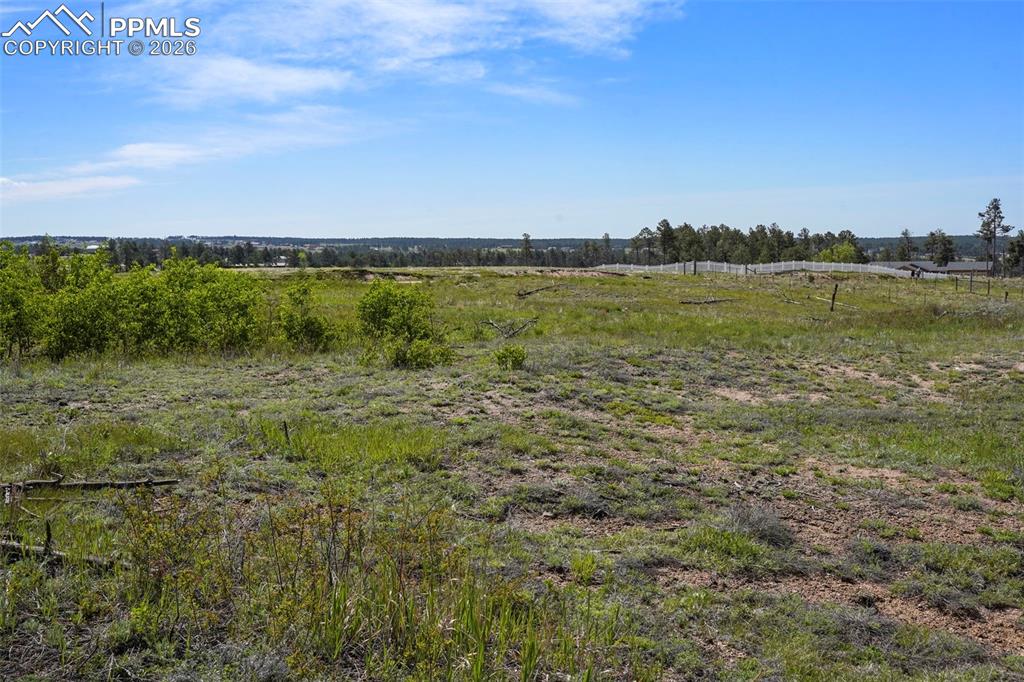 Image 9 of 15: Other