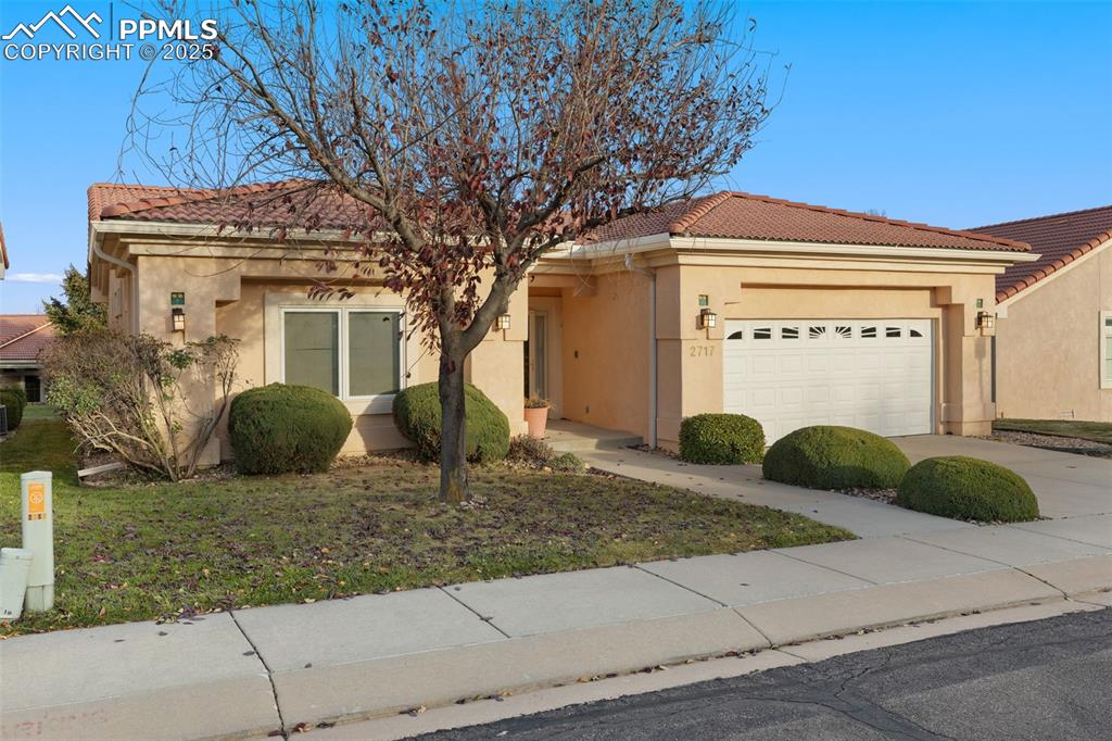 Image 25 of 26: Front of Structure