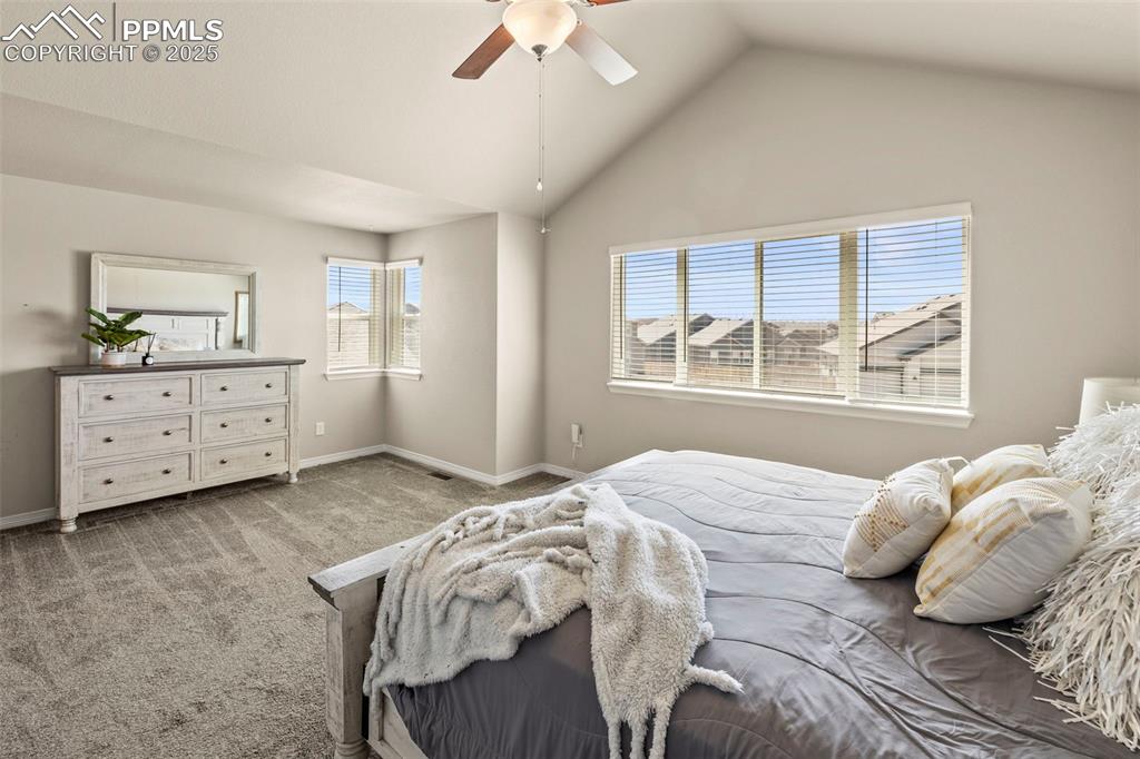 Image 4 of 36: Huge primary bedroom with tons of natural light