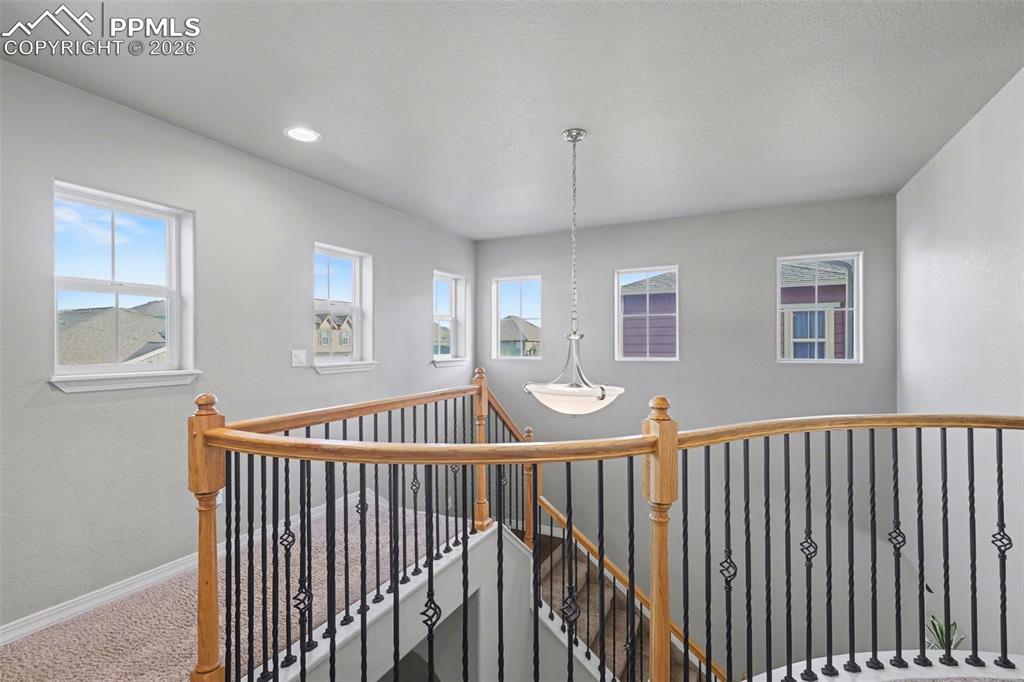 Image 20 of 49: Other