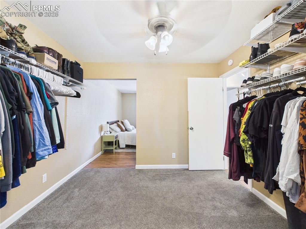 Image 23 of 41: Walk in closet with carpet and ceiling fan