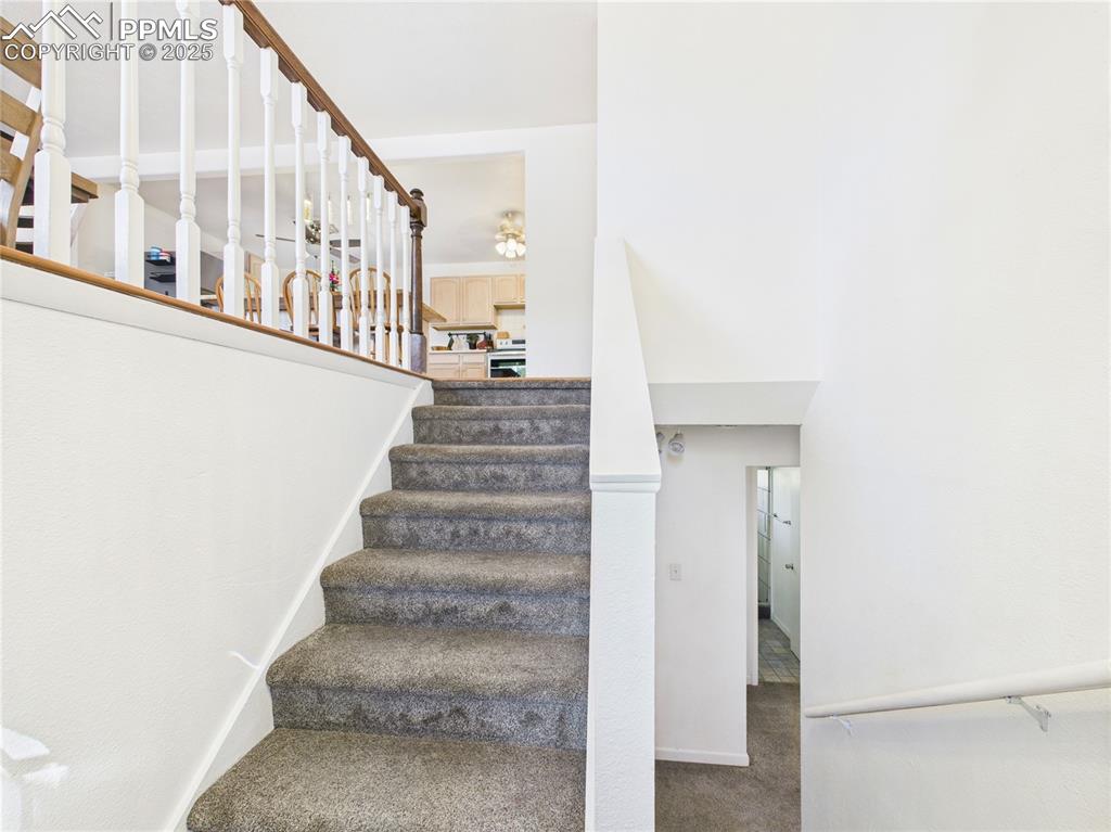 Image 24 of 41: Stairs with carpet flooring
