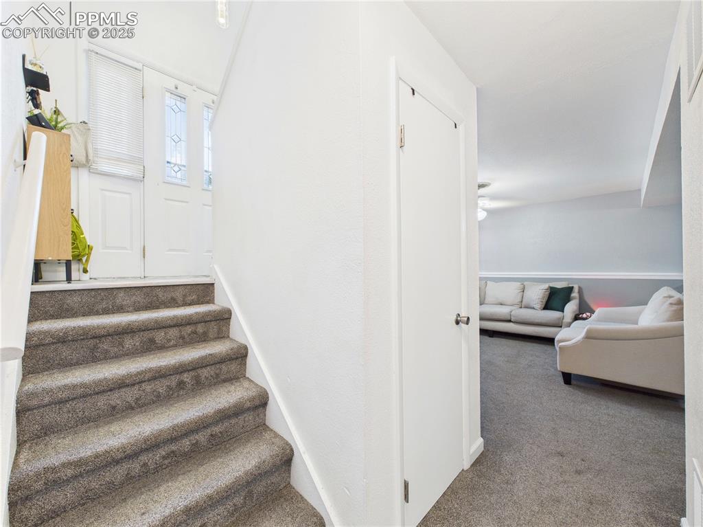 Image 31 of 41: Stairway featuring carpet floors