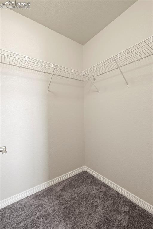 Image 17 of 35: Walk in closet with dark carpet