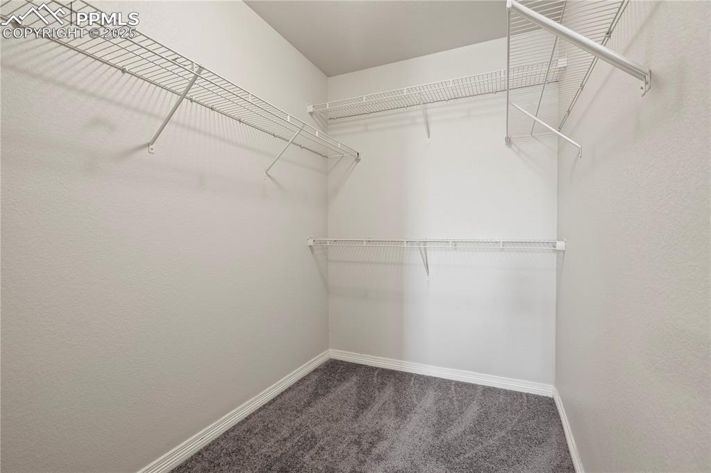 Image 23 of 35: Walk in closet with dark colored carpet