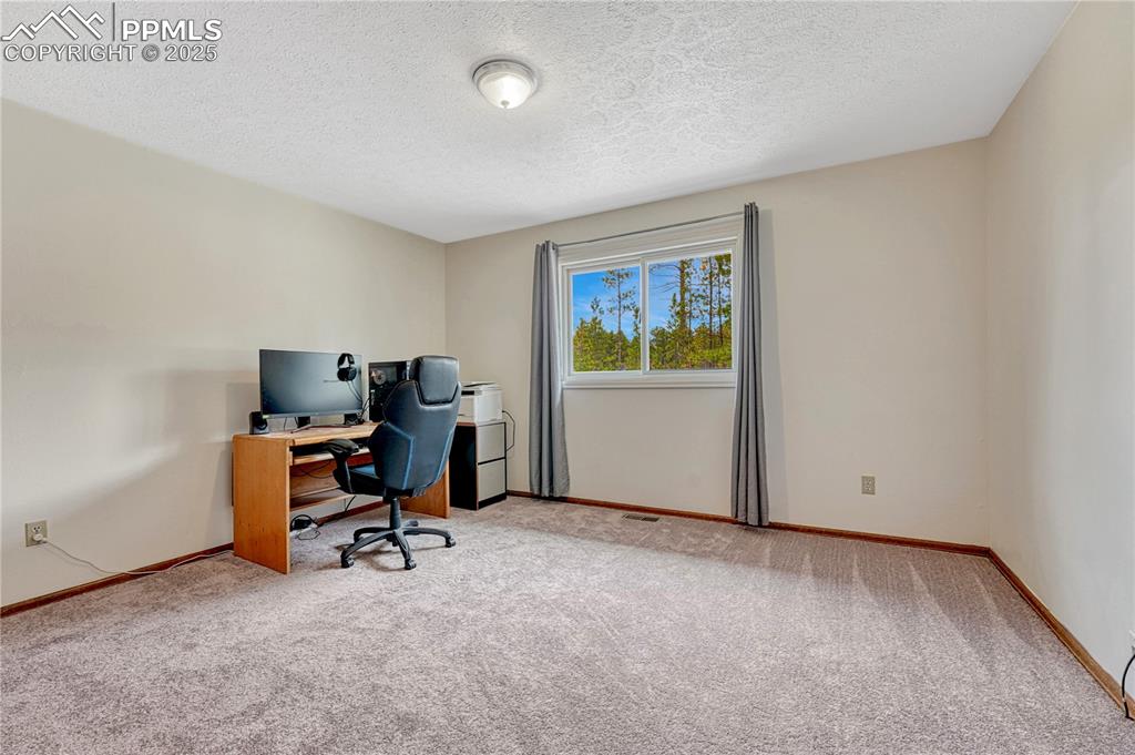 Image 17 of 48: Main level Bedroom