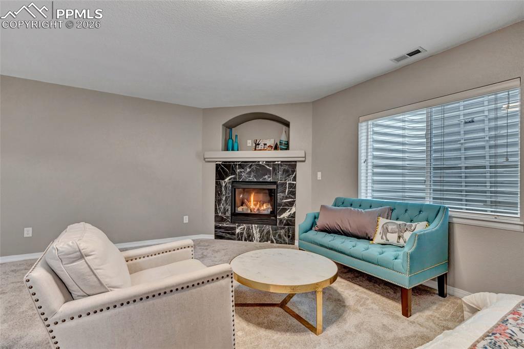 Image 29 of 48: Lower Level Living Room/Bedroom