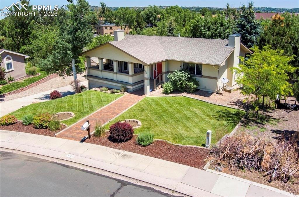 Image 48 of 50: When the yard was green!