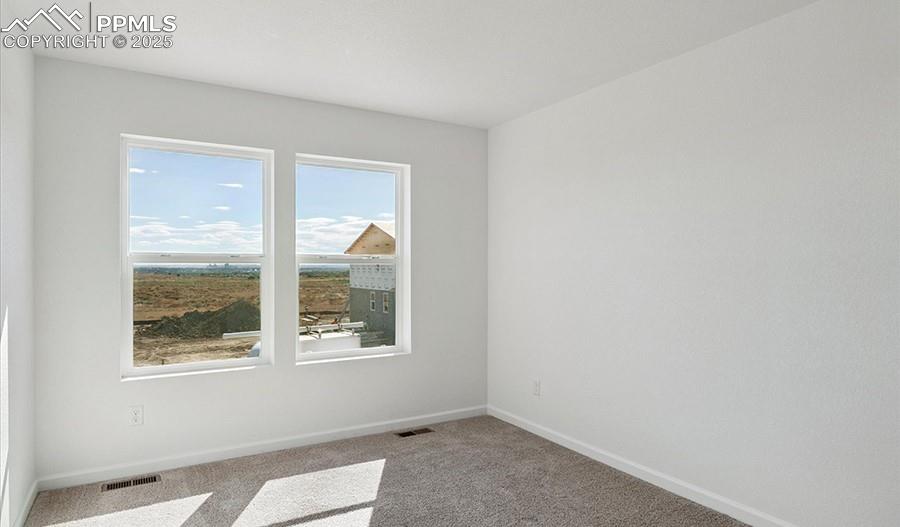 Image 8 of 18: Other