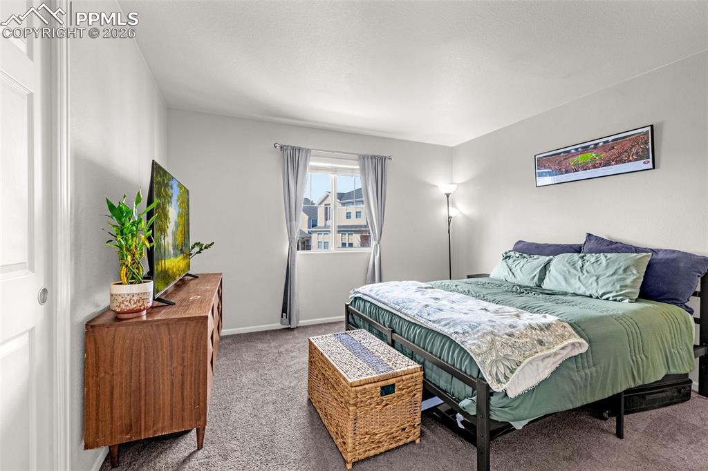 Image 17 of 29: Carpeted bedroom featuring a white paneled door, a window with grey drapes,