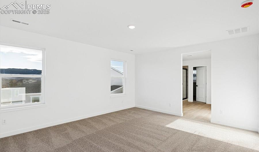 Image 13 of 22: No Description Available