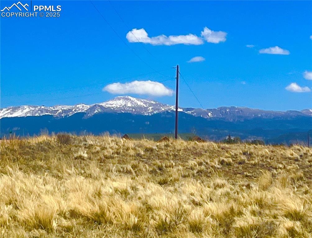 Image 12 of 26: View from Lot