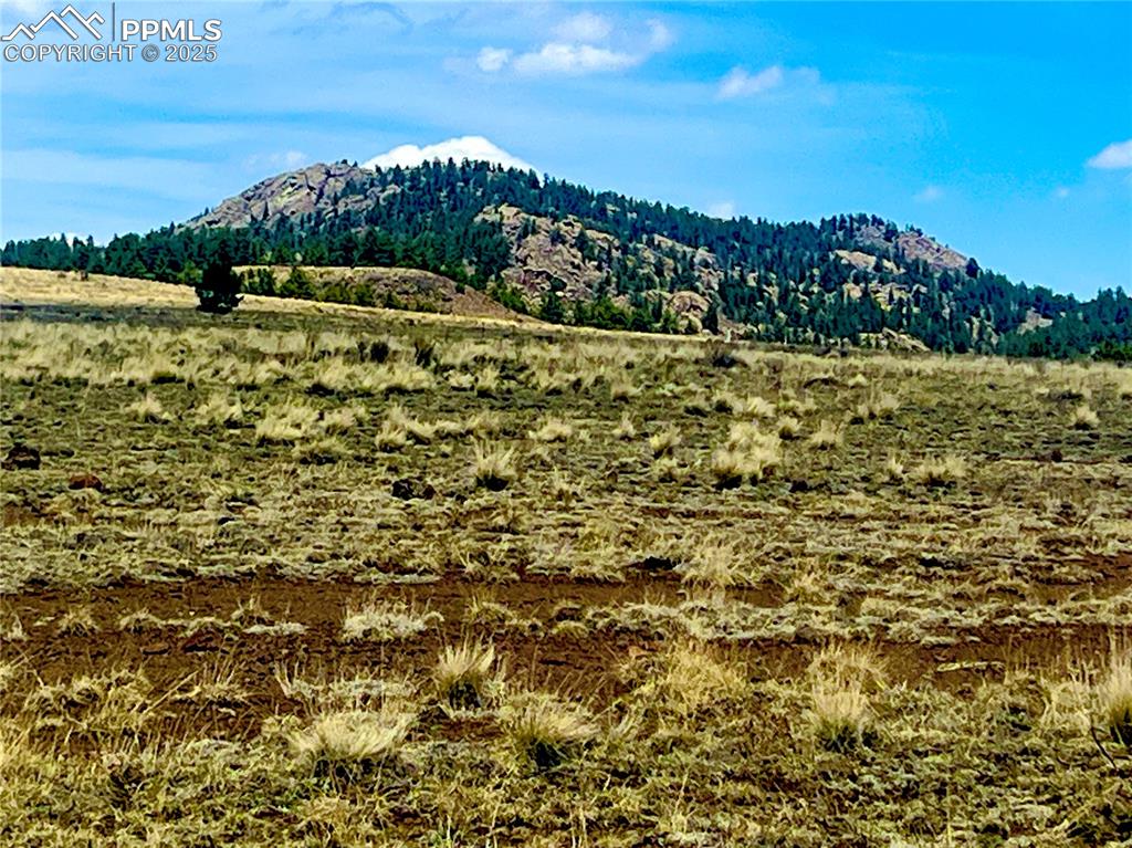 Image 13 of 26: View across the road from lot