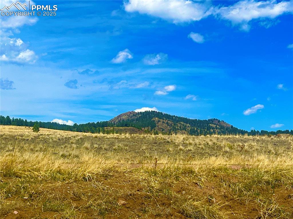 Image 15 of 26: View