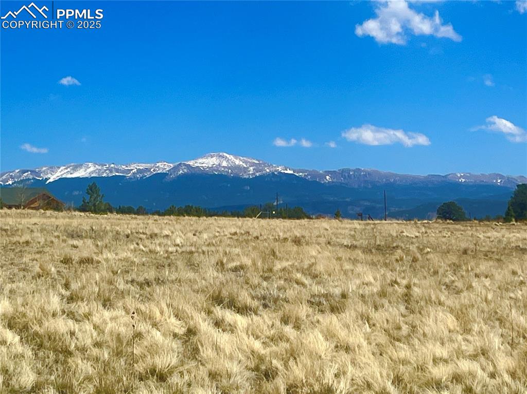 Image 16 of 26: View