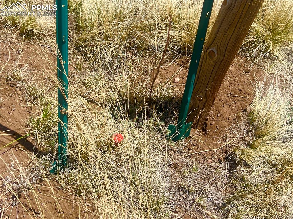 Image 21 of 26: Survey stake at east side of front of lot