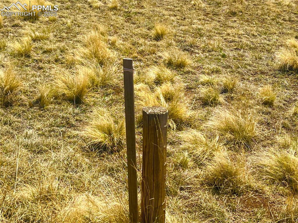 Image 22 of 26: Boundary marker on west side of lot