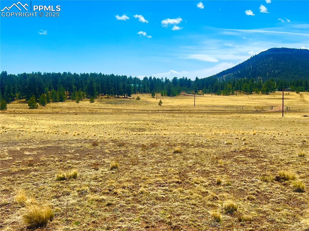 Image 4 of 26: Lots view