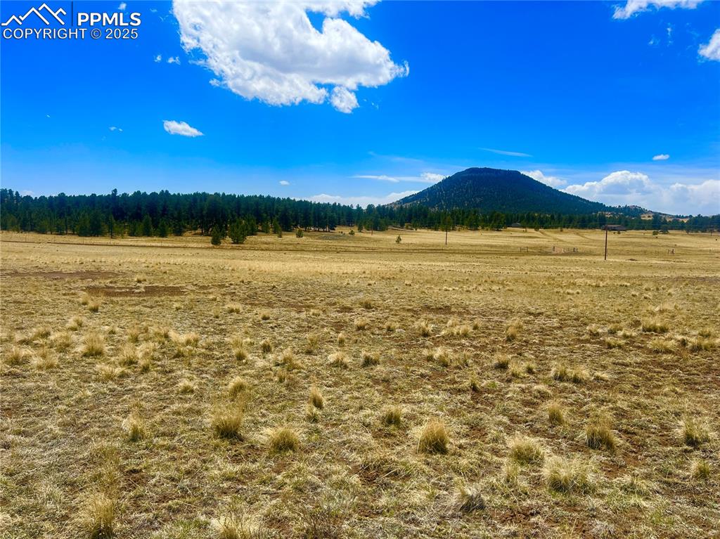 Image 5 of 26: Lots view