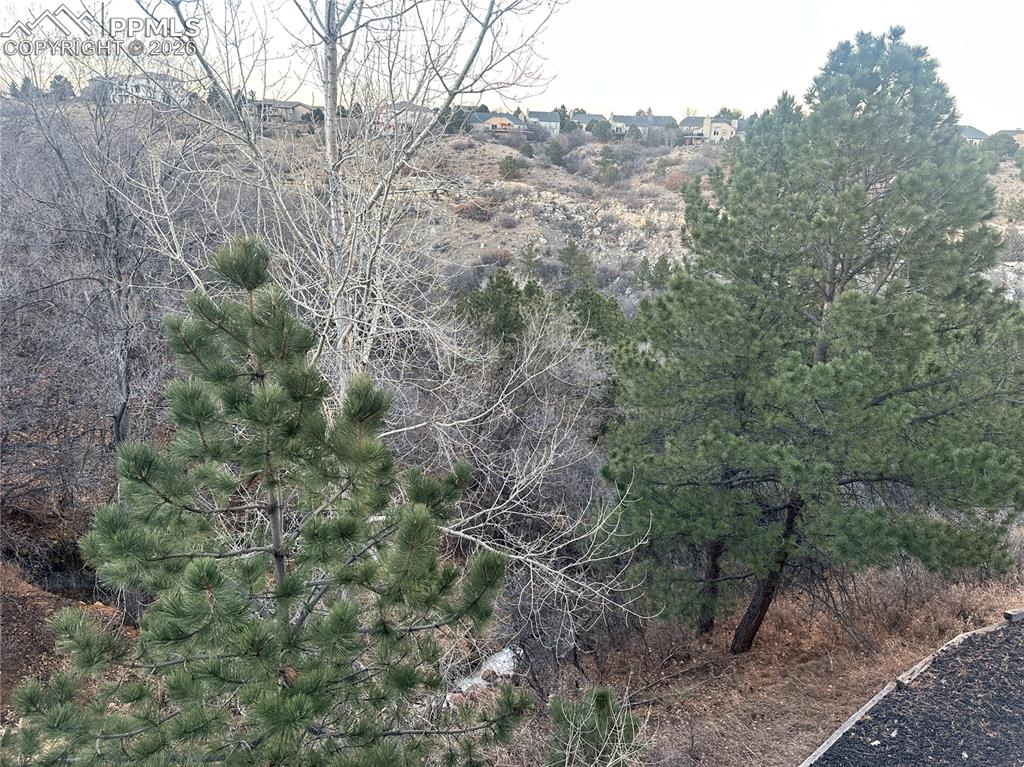Image 39 of 39: Lots of trees and lots of space behind the townhome