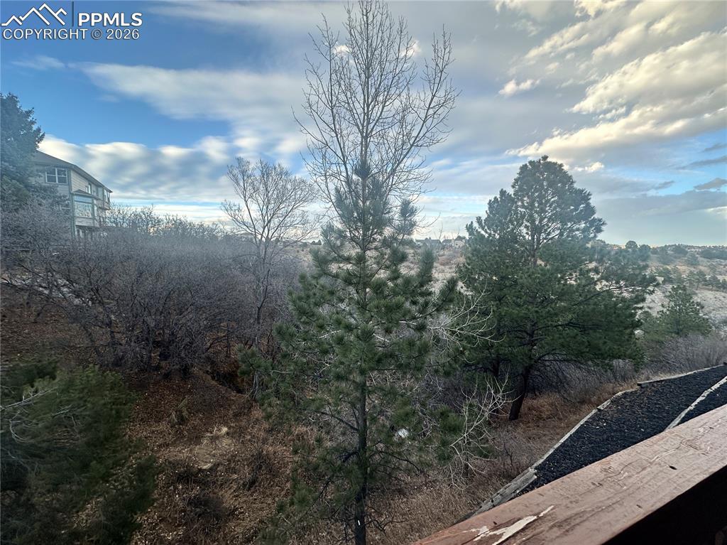 Image 5 of 39: view oof the ravine that is behind the home