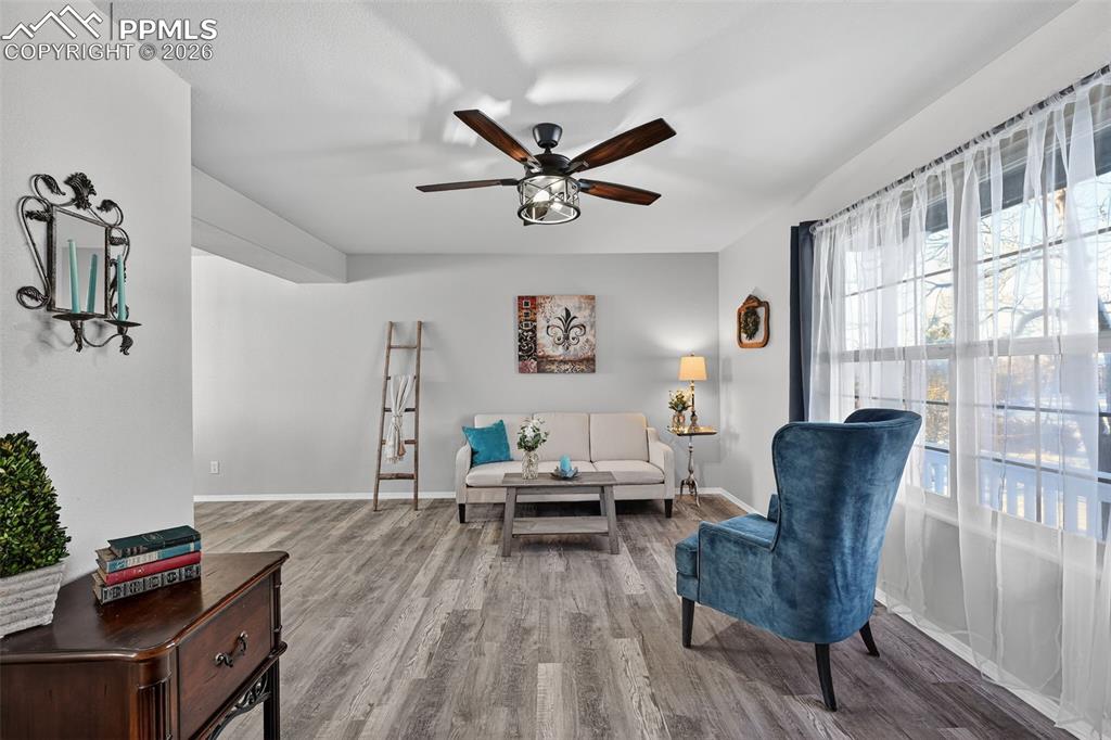 Image 6 of 50: Another view of the living room. Plenty of natural light.